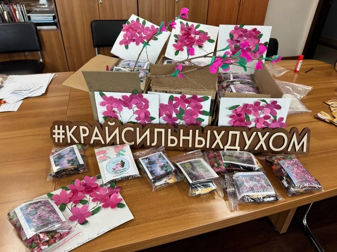 Источник: фото предоставлены авторами проектов — победителей конкурсов грантов