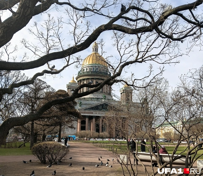 В Санкт-Петербурге, несомненно, прекрасная архитектура | Источник: Дилара Лотфуллина / UFA1.RU