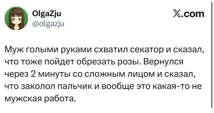 Источник: X (Twitter)