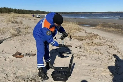 Эконадзор подтвердил загрязнение нефтью берегов Кургальского заказника