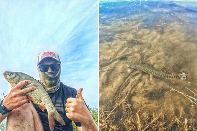 Окунь, щука и моллюск: омич показал улов в городе