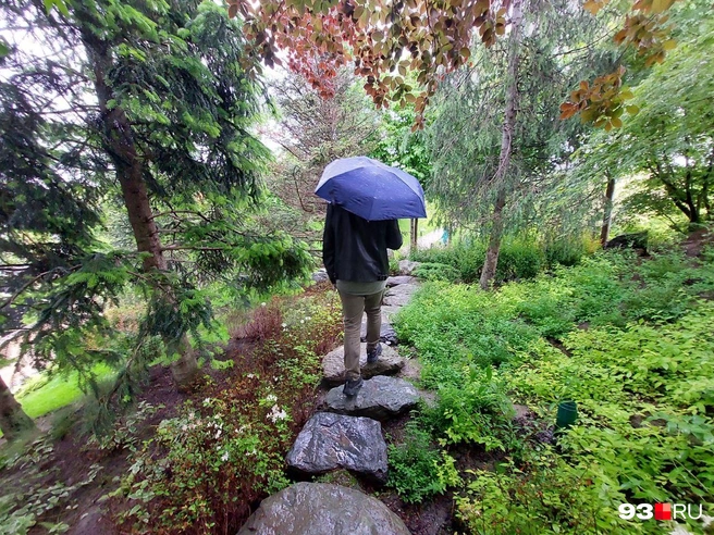 Так выглядит прогулка по Японскому саду во время дождя | Источник: Екатерина Железнова / 93.RU