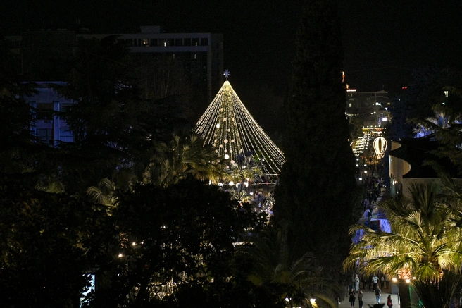 Новогодняя елка среди пальм — экзотика | Источник: Екатерина Лызлова / SOCHI1.RU