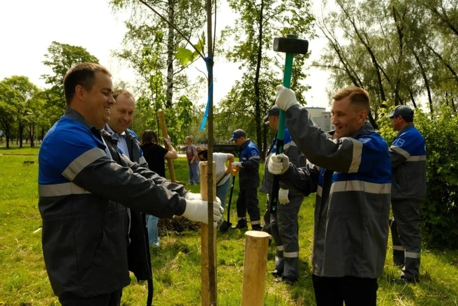 Саженцы высадили в Парке 30-летия Победы | Источник: «Газпром газораспределение Ярославль»
