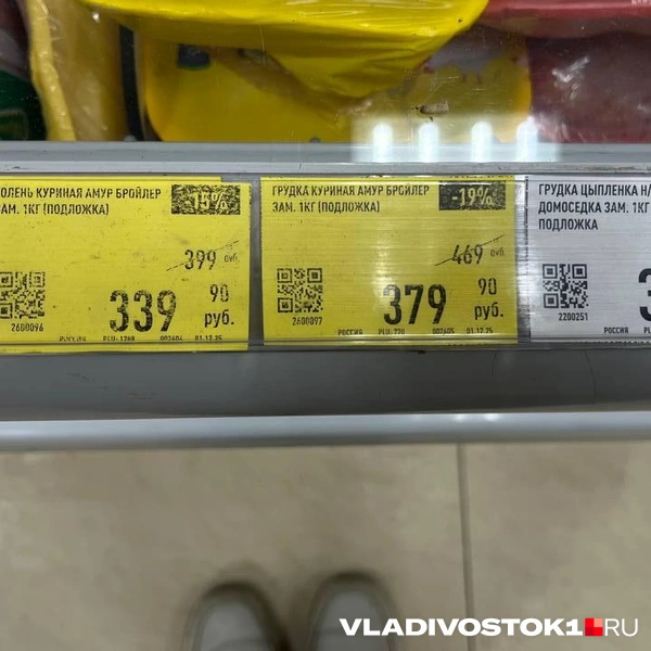 Источник: Елена Буйвол / VLADIVOSTOK1.RU