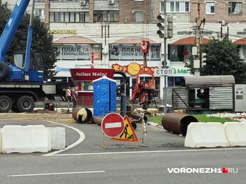 Источник: читатель Voronezh1.ru