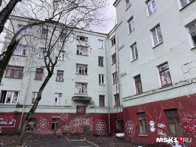 Источник: Алина Мельникова / MSK1.RU