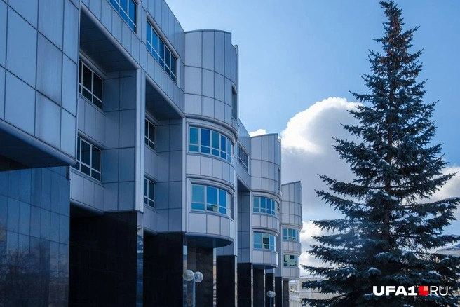 Смотрим, как он выглядит | Источник: Булат Салихов / UFA1.RU