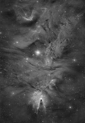 Источник: Алексей Поляков 