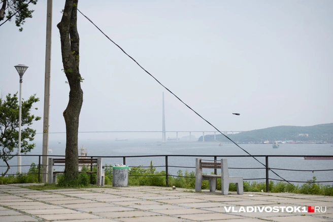 Источник: Елена Буйвол / VLADIVOSTOK1.RU