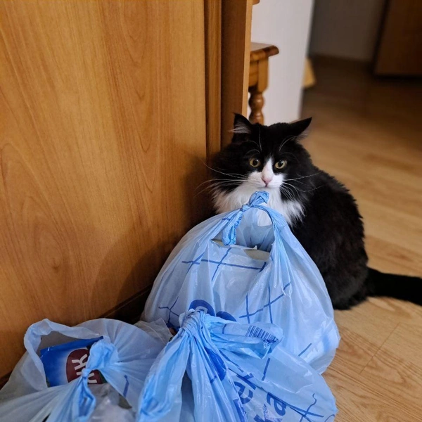 Доставка оказалась быстрой | Источник: Анна Петрова