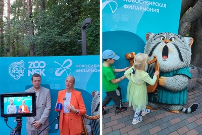 Манул Фил поможет детям полюбить классику в Новосибирске