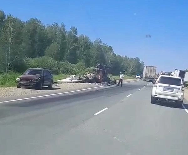 В Сочи водитель снял на видео бегущего по трассе медведя