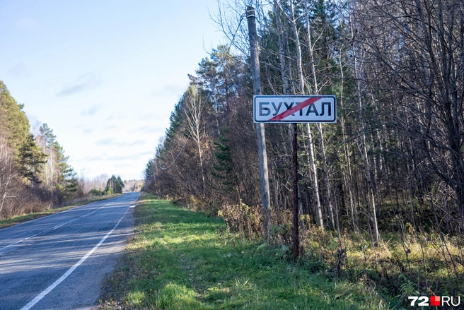 Подозреваемый хорошо знал эту местность | Источник: Илья Чикотин / 72.RU