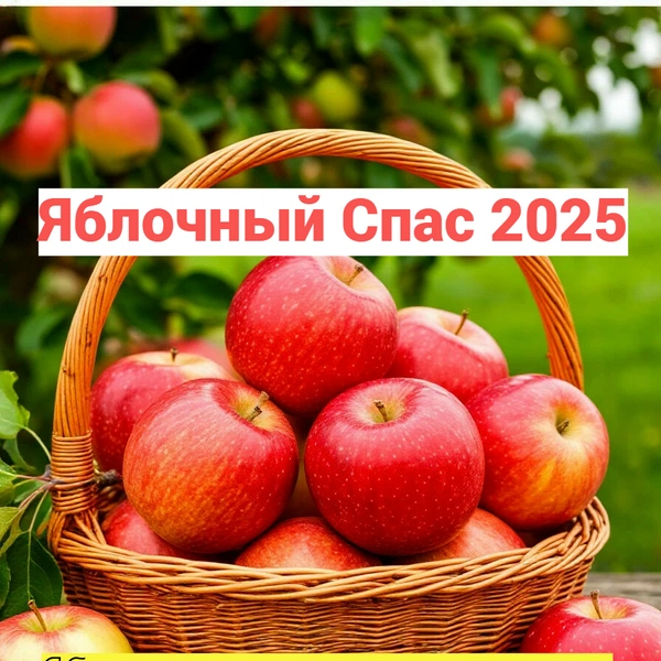 Яблочный Спас 2025: 10 красивых открыток, которые можно отправить близким, какого числа яблочный спас 2025 году, Яблочный Спас 2025, Яблочный Спас суть, Яблочный Спас картинки, Открытки с Яблочным Спасом, поздравление с Яблочным Спасом | Источник: Midjourney