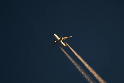 Из-за отмен рейсов новосибирцы застряли на Шри-Ланке с детьми