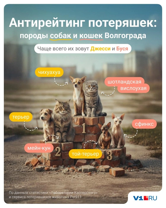 Источник: Полина Авдошина / V1.RU