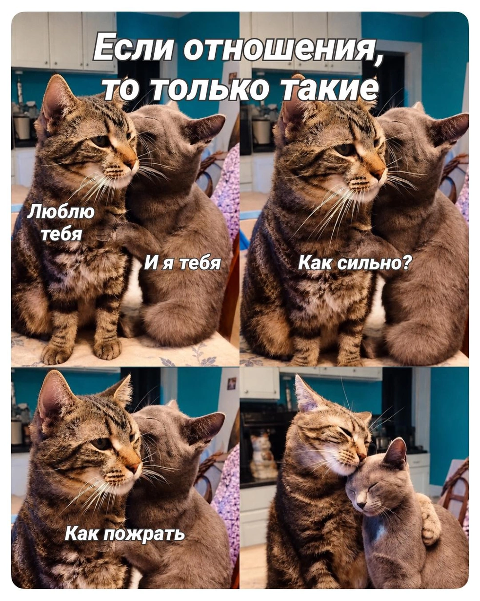 Понимаем и не осуждаем | Источник: Городские медиа