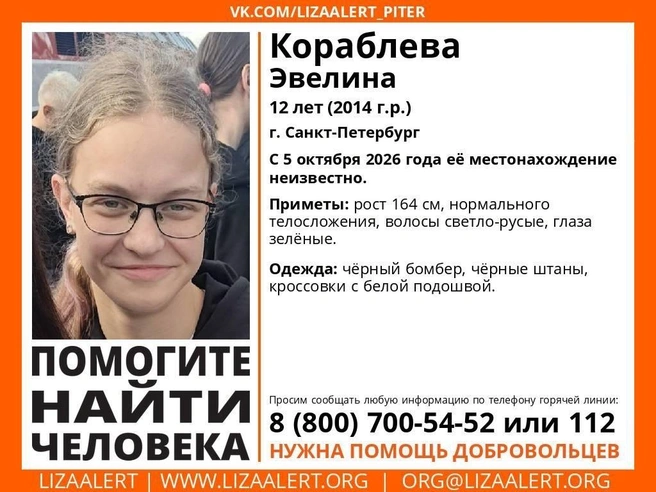 В Петербурге пропала 12-летняя девочка | Источник: vk.ru/lizaalert_piter