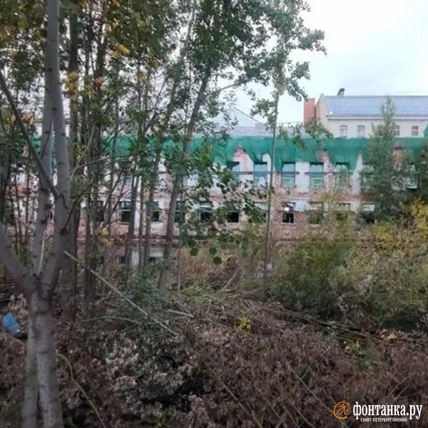 Источник: Павел Каравашкин / «Фонтанка.ру»