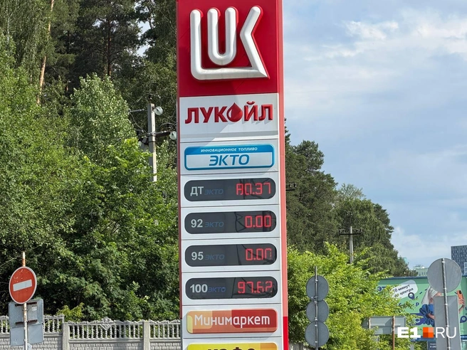 Водители видят нули на табло&nbsp;— это значит, что этого топлива нет | Источник: Алиса Андреева / E1.RU