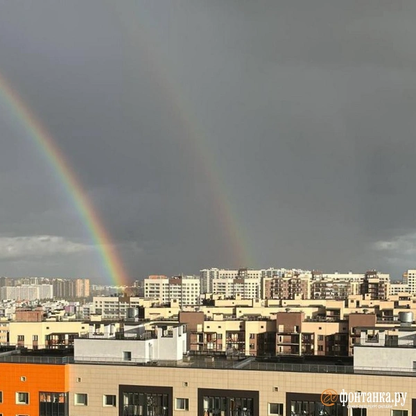 Источник: читатель «Фонтанки» Антон