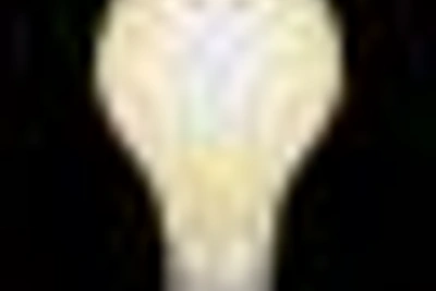 Обследование женского здоровья в консультации