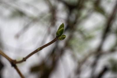 Похолодание в Ростовской области: прогноз на апрель