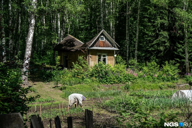 Не оставляйте дачу без внимания в сентябре и октябре | Источник: Александр Ощепков / NGS.RU