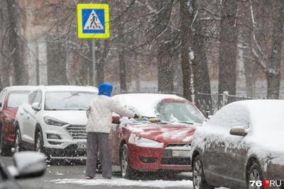МЧС предупредило о сильном ветре в Ярославской области