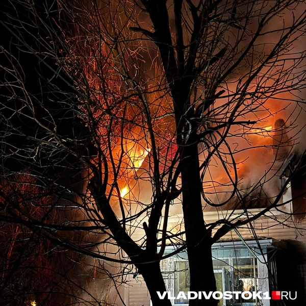 Источник: Садгород VL • Новости и события пригорода Владивостока