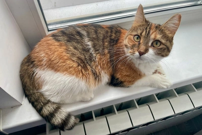 Тюменцы жалуются на жару в квартирах и требуют отключить отопление