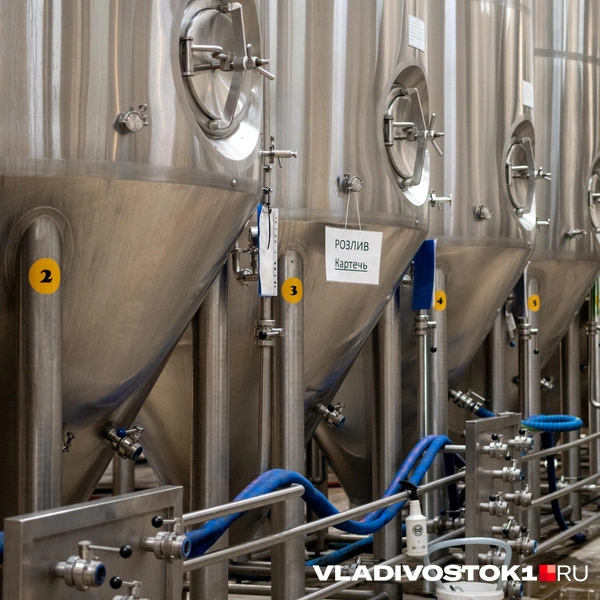 Источник: Елена Буйвол / VLADIVOSTOK1.RU