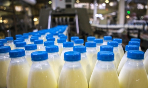 В России по-новому распознают фальсифицированное молоко