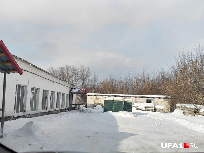 Источник: Марина Каримова / UFA1.RU
