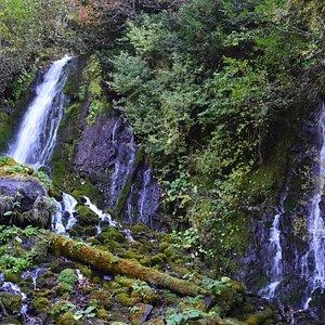 Источник: tripadvisor.ru