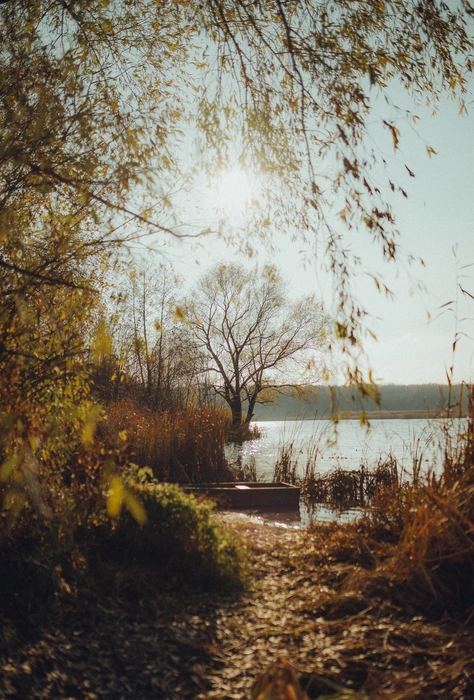 Источник: Александр Воднев