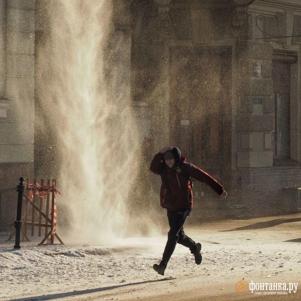 Источник: Михаил Огнев / FONTANKA.RU