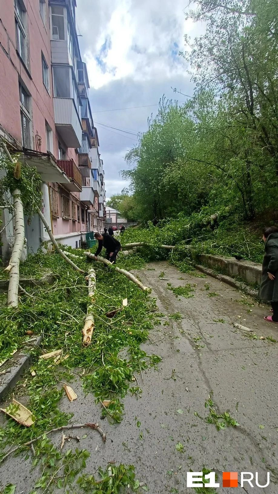 Не выдерживают порывов ветра в основном старые деревья  | Источник: читатель E1.RU