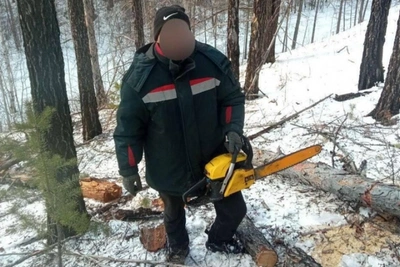 Ветерану СВО вернули машину и выделили лесосеку