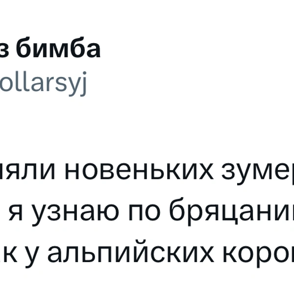 Источник:  X (Twitter)