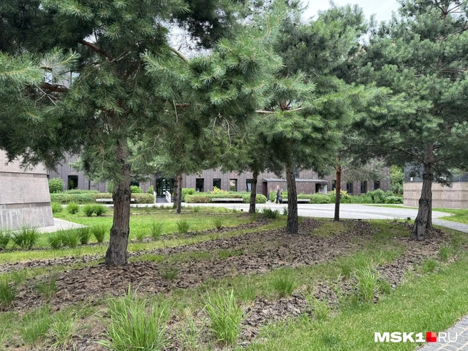 Сад памяти бывшего Музея истории ГУЛАГа | Источник: Анастасия Харитонова / MSK1.RU