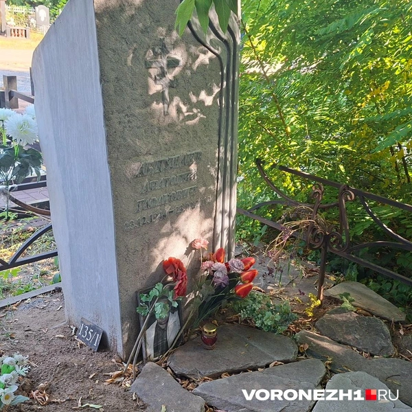 Источник: Алена Воропаева / Voronezh1.ru