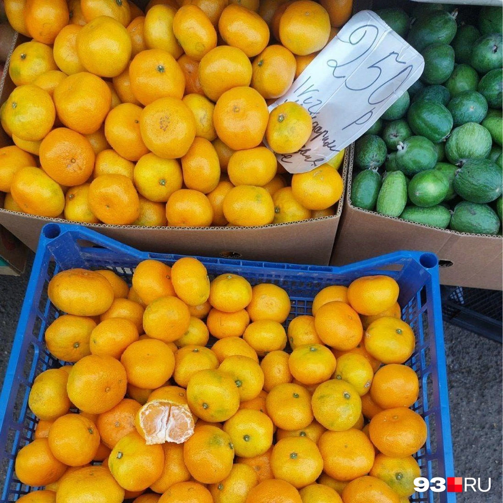 Источник: Екатерина Железнова / 93.RU