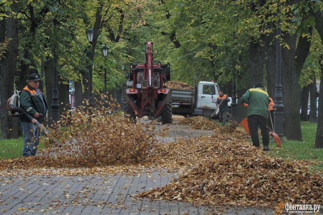 По ведру воды на каждый метр. Циклон балует Москву, но не Петербург | Источник: Михаил Огнев / «Фонтанка.ру»