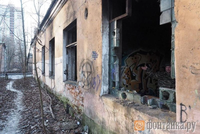 Источник: автор фото Михаил Огнев/«Фонтанка.ру»
