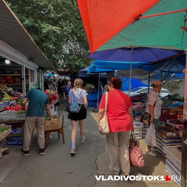 Источник: Елена Буйвол / VLADIVOSTOK1.RU