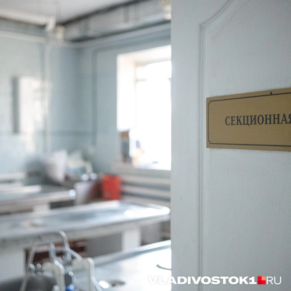 Источник: Елена Буйвол / VLADIVOSTOK1.RU