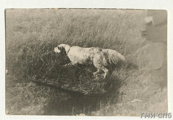 Источник: Пресс-служба ГМИ СПб