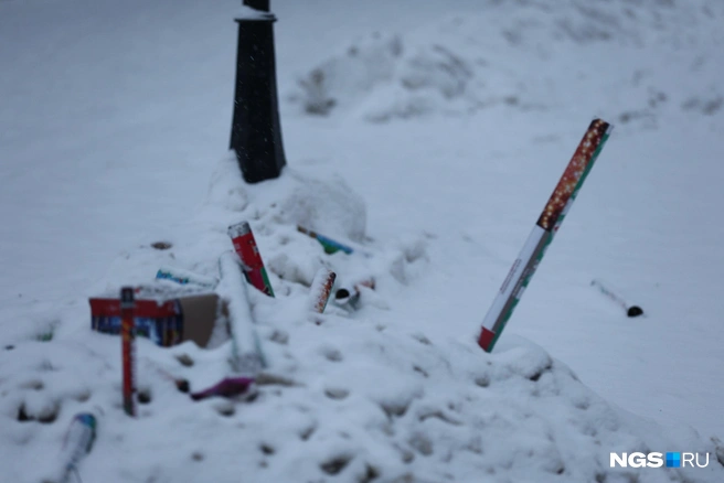 И вот что это такое? | Источник: Александр Ощепков / NGS.RU